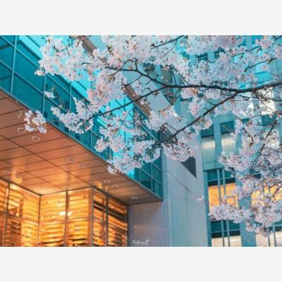 B体育手机版在线手机app下载